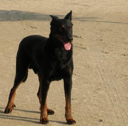 Ulkig vom Kathrinenhof